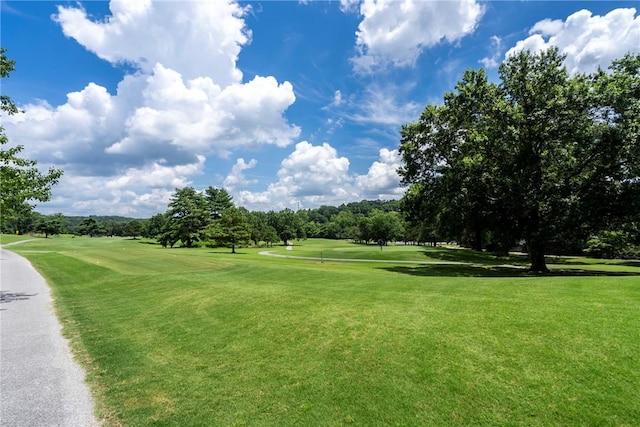 11 Tanyard Dr, Bella Vista, AR 72715 - photo 38