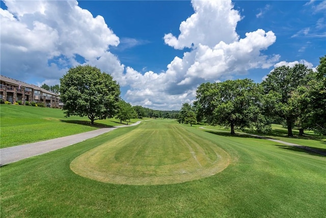 11 Tanyard Dr, Bella Vista, AR 72715 - photo 45