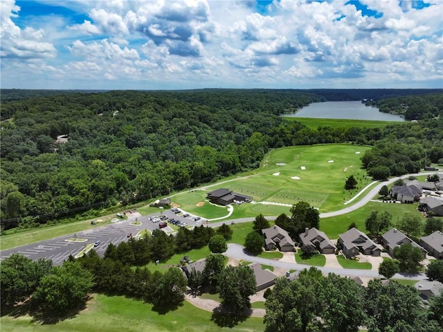 11 Tanyard Dr, Bella Vista, AR 72715 - photo 49