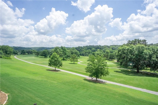 11 Tanyard Dr, Bella Vista, AR 72715 - photo 52