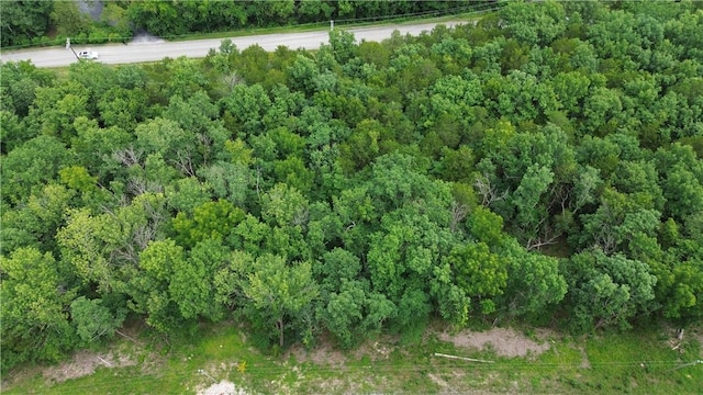LOT10, BLOCK10 Haddock Ln, Holiday Island, AR 72631 - photo 1