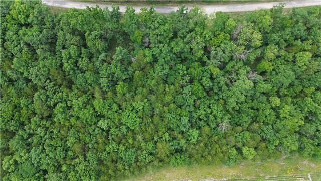 LOT10, BLOCK10 Haddock Ln, Holiday Island, AR 72631 - photo 2