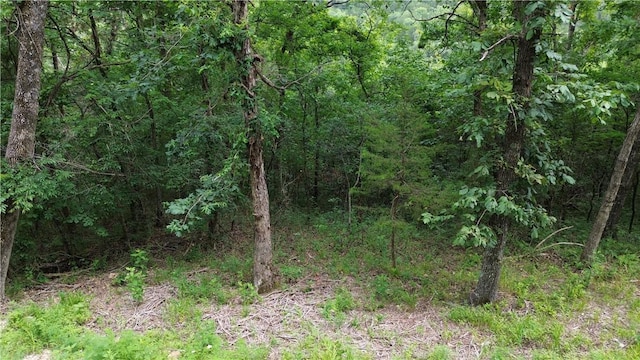 LOT10, BLOCK10 Haddock Ln, Holiday Island, AR 72631 - photo 3