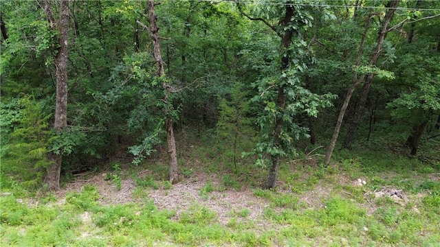 LOT10, BLOCK10 Haddock Ln, Holiday Island, AR 72631 - photo 4