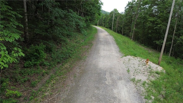 LOT10, BLOCK10 Haddock Ln, Holiday Island, AR 72631 - photo 6
