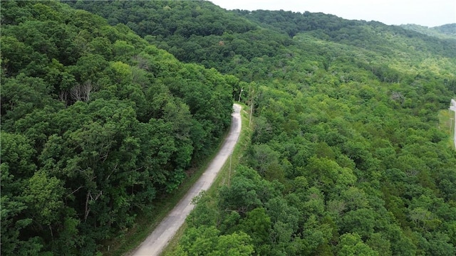 LOT10, BLOCK10 Haddock Ln, Holiday Island, AR 72631 - photo 7