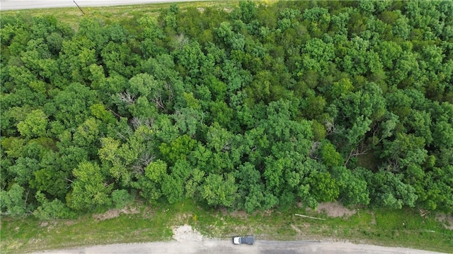 LOT10, BLOCK10 Haddock Ln, Holiday Island, AR 72631 - photo 8