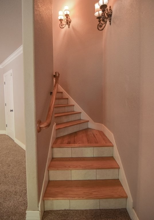 3703 NW Mountainview Rd, Bentonville, AR 72712 - photo 34