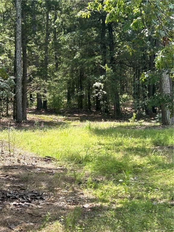 10108 Blevins Hill Ln, Dardanelle, AR 72834 - photo 9