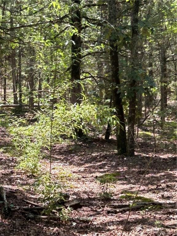 10108 Blevins Hill Ln, Dardanelle, AR 72834 - photo 12