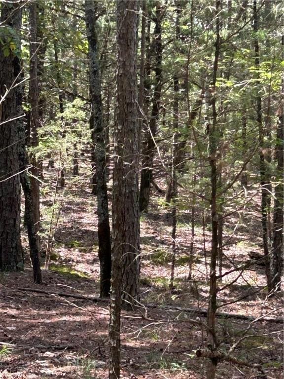 10108 Blevins Hill Ln, Dardanelle, AR 72834 - photo 13