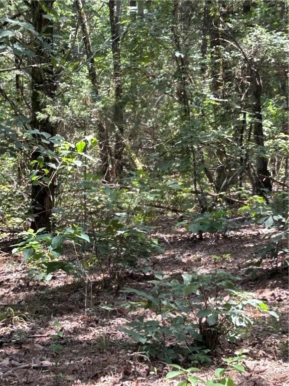 10108 Blevins Hill Ln, Dardanelle, AR 72834 - photo 15