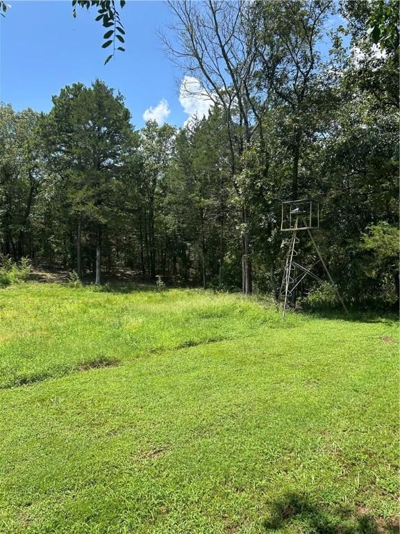 10108 Blevins Hill Ln, Dardanelle, AR 72834 - photo 16