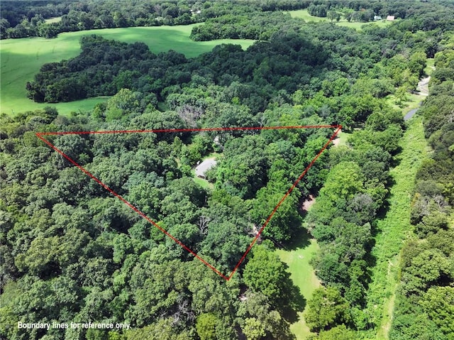 13360 Siloam City Lake Rd, Gentry, AR 72734 - photo 34