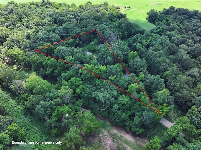 13360 Siloam City Lake Rd, Gentry, AR 72734 - photo 37