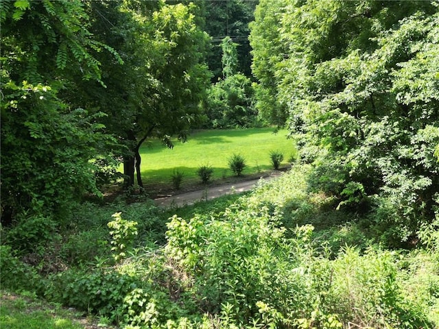 13360 Siloam City Lake Rd, Gentry, AR 72734 - photo 39