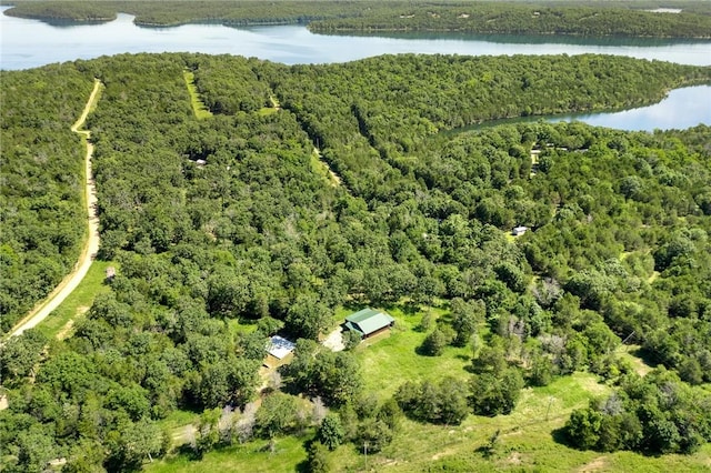 * Rainwood Trail, Yellville, AR 72687 - photo 1