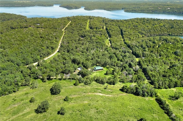 * Rainwood Trail, Yellville, AR 72687 - photo 8