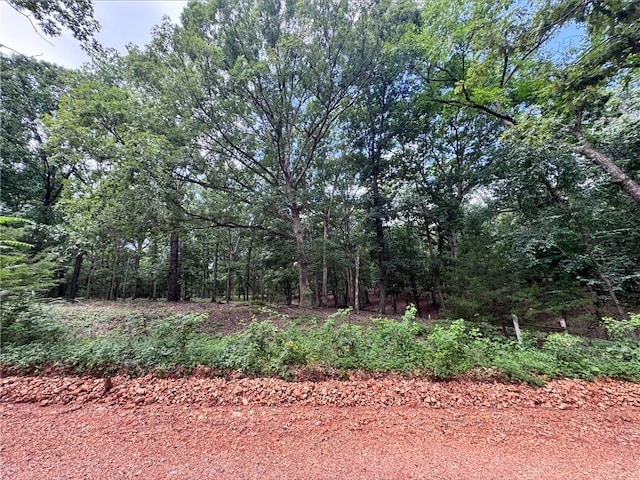 TRACT2 Curtis Rd, Gravette, AR 72736 - photo 8