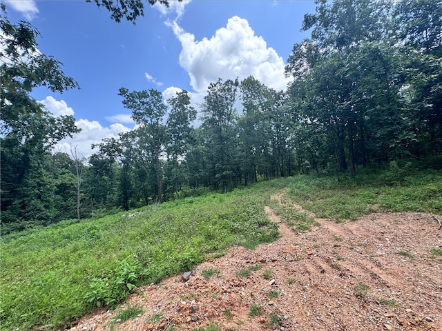 TRACT2 Curtis Rd, Gravette, AR 72736 - photo 3