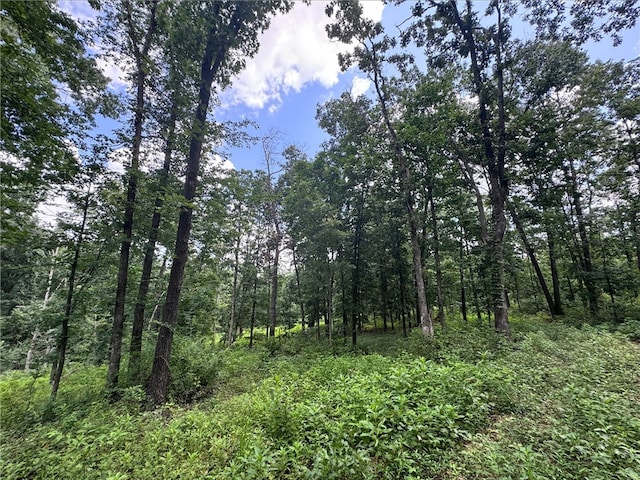 TRACT2 Curtis Rd, Gravette, AR 72736 - photo 4
