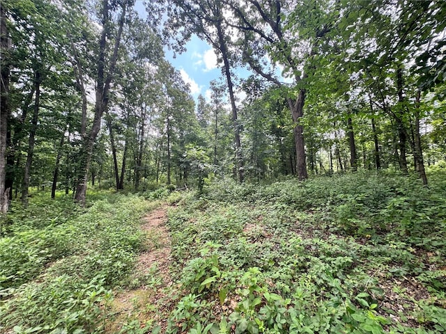TRACT2 Curtis Rd, Gravette, AR 72736 - photo 2