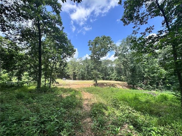 TRACT2 Curtis Rd, Gravette, AR 72736 - photo 11