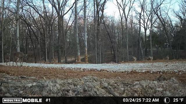 TRACT2 Curtis Rd, Gravette, AR 72736 - photo 14