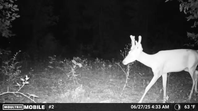 TRACT2 Curtis Rd, Gravette, AR 72736 - photo 18