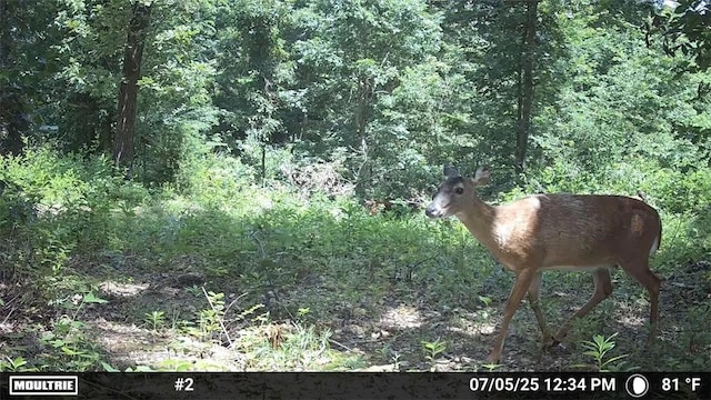 TRACT2 Curtis Rd, Gravette, AR 72736 - photo 19