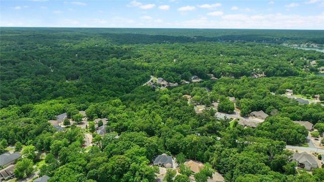9 Barrhead Ln, Bella Vista, AR 72715 - photo 7