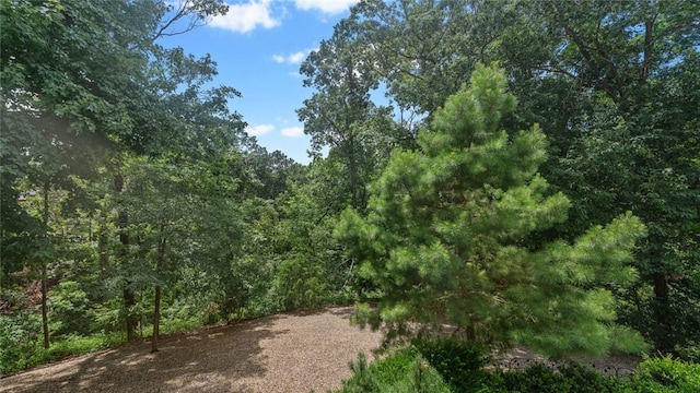 9 Barrhead Ln, Bella Vista, AR 72715 - photo 58