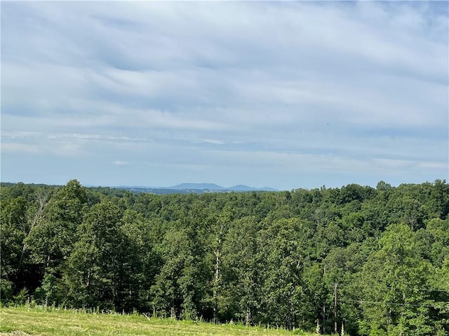 1357 Mc 3016, Harrison, AR 72601 - photo 10