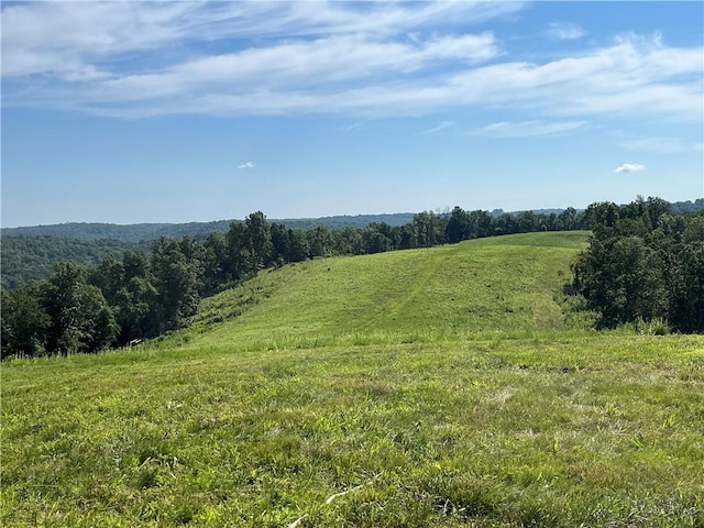 1357 Mc 3016, Harrison, AR 72601 - photo 11