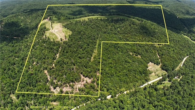 1357 Mc 3016, Harrison, AR 72601 - photo 37