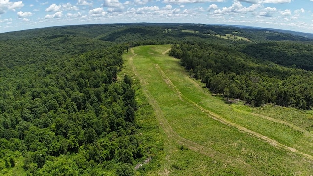 1357 Mc 3016, Harrison, AR 72601 - photo 45