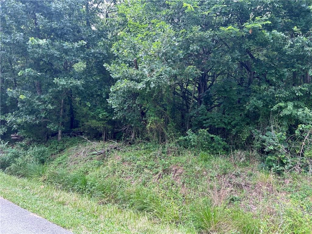 Walney Dr, Bella Vista, AR 72715 - photo 1