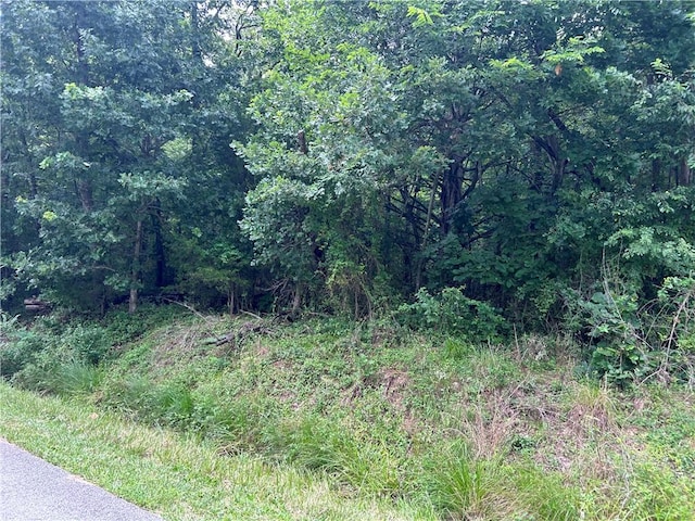 Walney Dr, Bella Vista, AR 72715 - photo 1