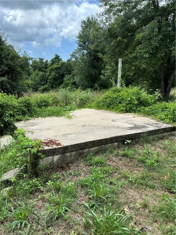 1333 County Road 216, Eureka Springs, AR 72632 - photo 42