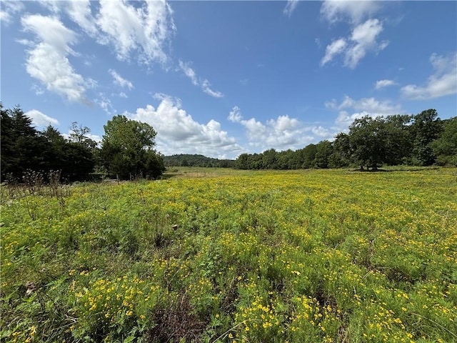 979 Madison Unit 7305, Wesley, AR 72773 - photo 14