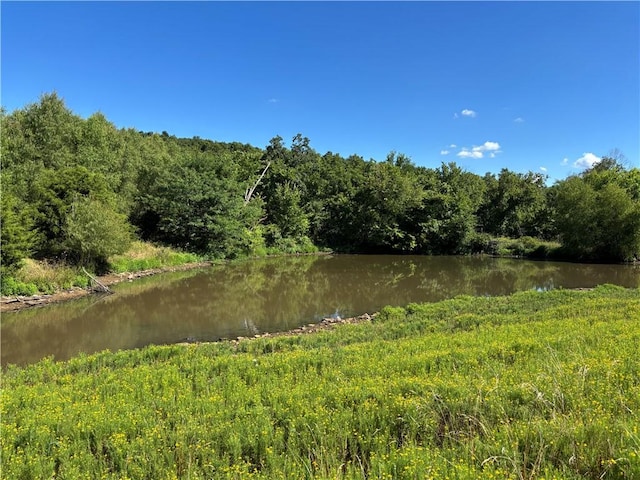 979 Madison Unit 7305, Wesley, AR 72773 - photo 15