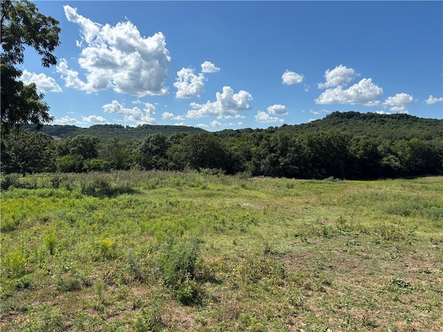 979 Madison Unit 7305, Wesley, AR 72773 - photo 16
