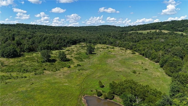 979 Madison Unit 7305, Wesley, AR 72773 - photo 13