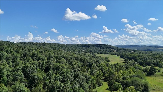 979 Madison Unit 7305, Wesley, AR 72773 - photo 20