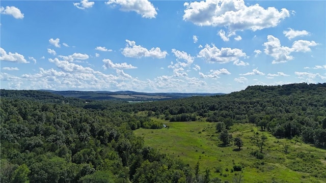 979 Madison Unit 7305, Wesley, AR 72773 - photo 22