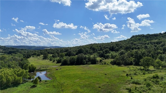 979 Madison Unit 7305, Wesley, AR 72773 - photo 23