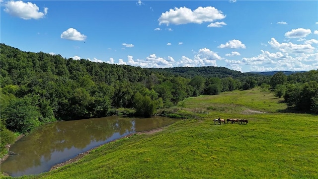 979 Madison Unit 7305, Wesley, AR 72773 - photo 19