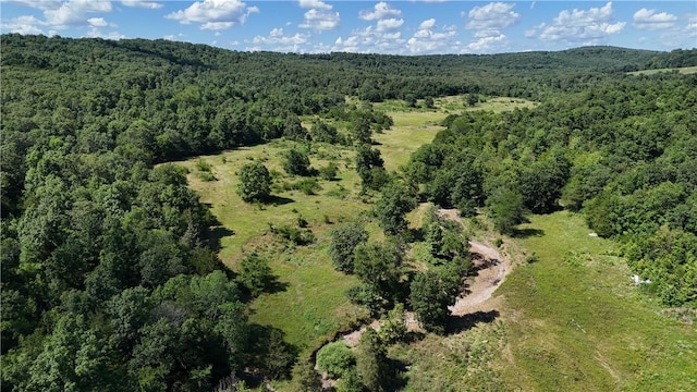 979 Madison Unit 7305, Wesley, AR 72773 - photo 3