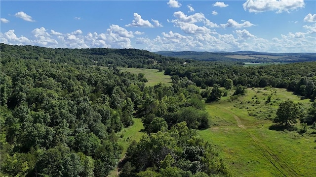 979 Madison Unit 7305, Wesley, AR 72773 - photo 4