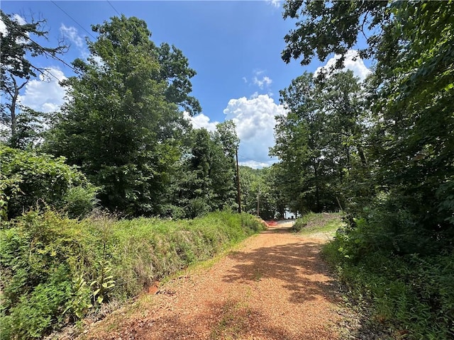 14044 Villera Dr, Rogers, AR 72758 - photo 3